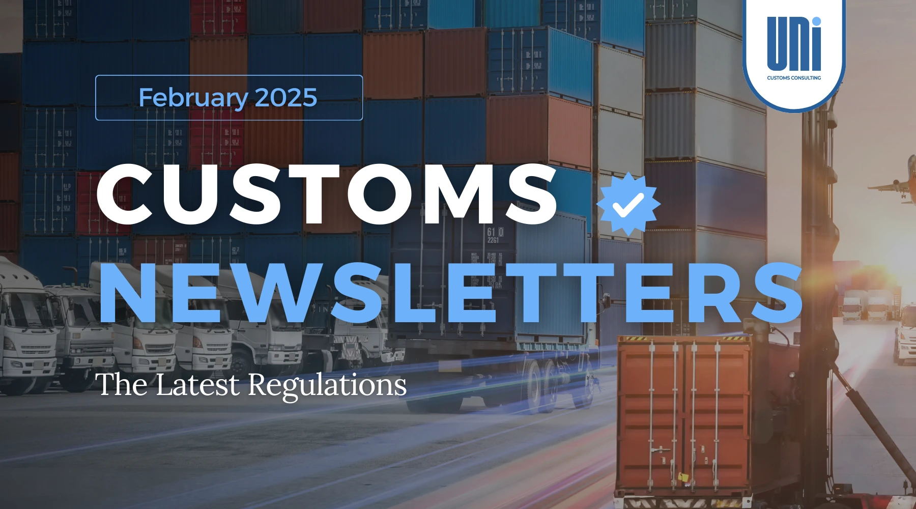 customs newsletter legal updates february 2025 customs newsletters legal udpates february 2025