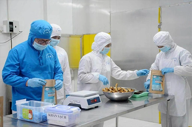 Cập Nhật Quy Định Về Kiểm Dịch Động Vật, Sản Phẩm Động Vật Trên Cạn Cap-Nhat-Quy-Dinh-Ve-Kiem-Dich-Dong-Vat-San-Pham-Dong-Vat-Tren-Can.