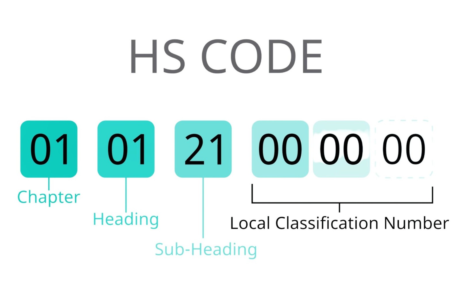 hs-code-tren-c-o-khac-hs-code-tren-to-khai_1607174448 Kiểm tra mã HS Dịch Vụ Khai Báo Hải Quan Trọn Gói