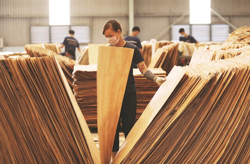 Áp Thuế Chống Bán Phá Giá Ván Sợi Gỗ Từ Thái Lan & Trung Quốc Ap-Thue-Chong-Ban-Pha-Gia-Van-Soi-Go-Tu-Thai-Lan-Trung-Quoc